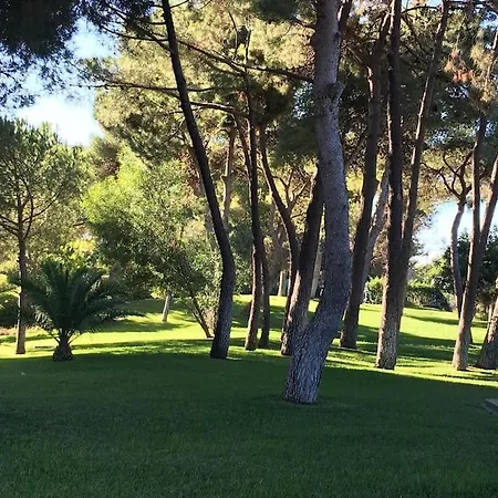 Panoramic Ocean Sunset View Marbella